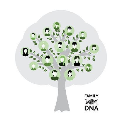 如何查歷代祖先|免費家譜、族譜、家族史以及 DNA 檢測